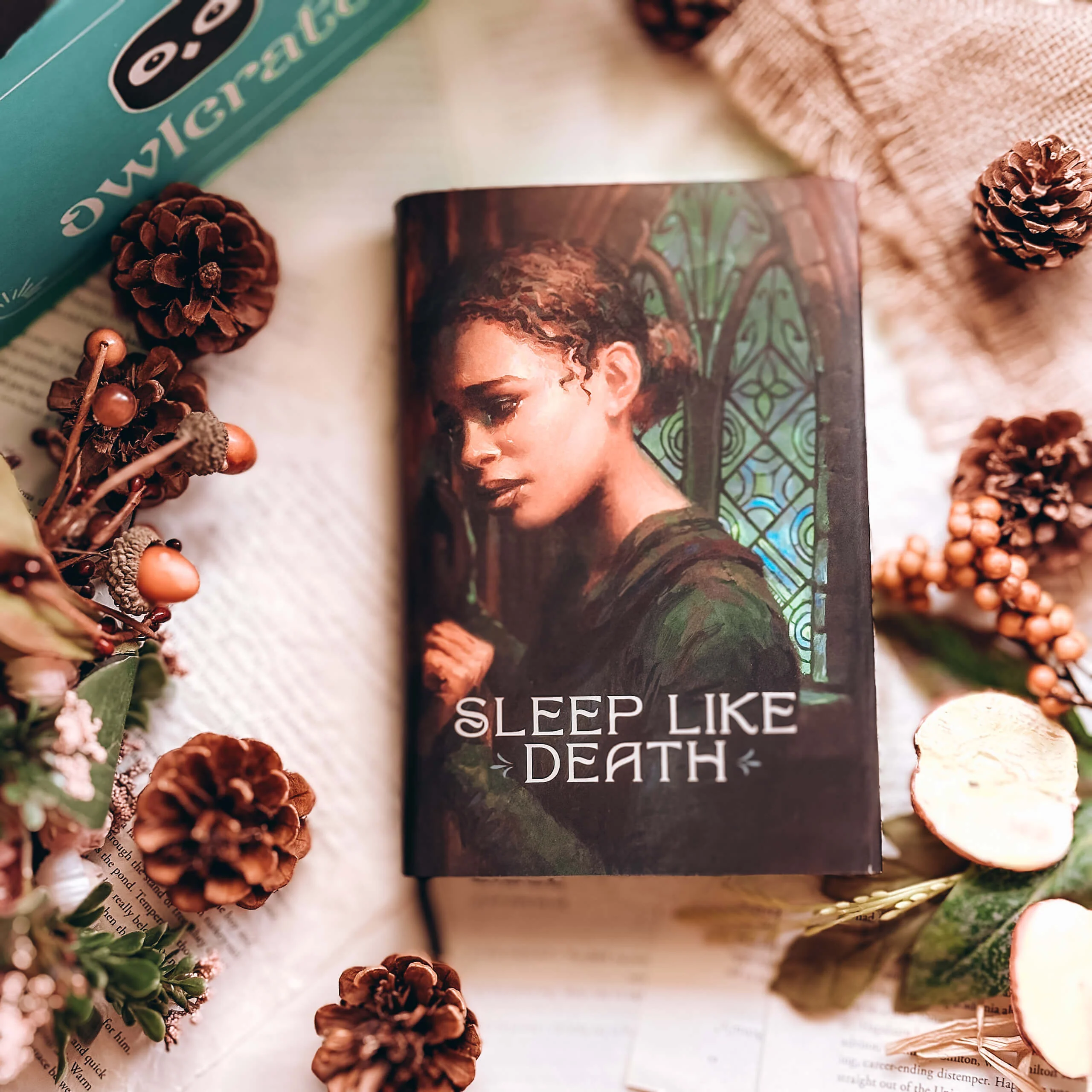 Sleep Like Death (Exclusive OwlCrate Edition) - Image 3