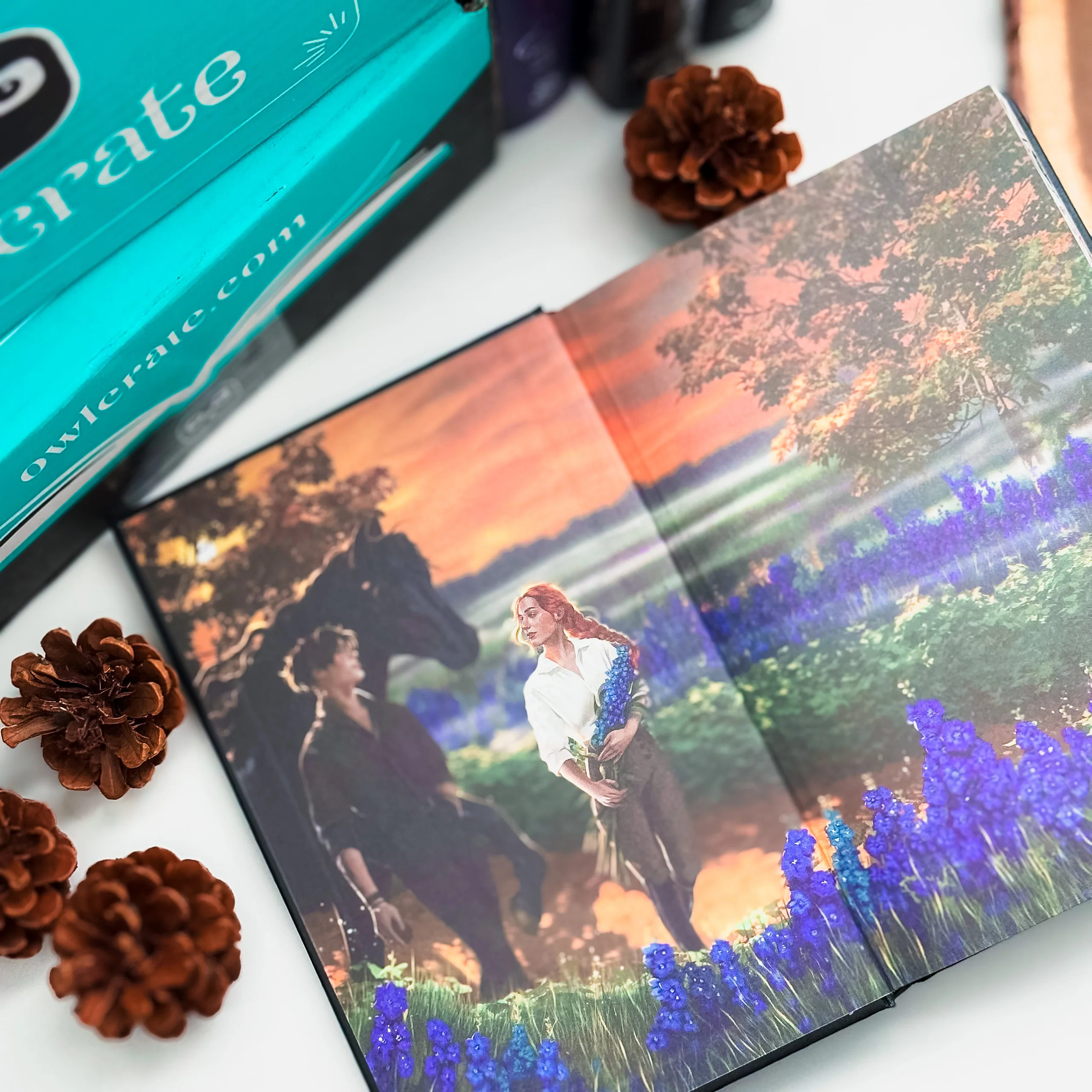 This Dark Descent (Exclusive OwlCrate Edition) - Image 3