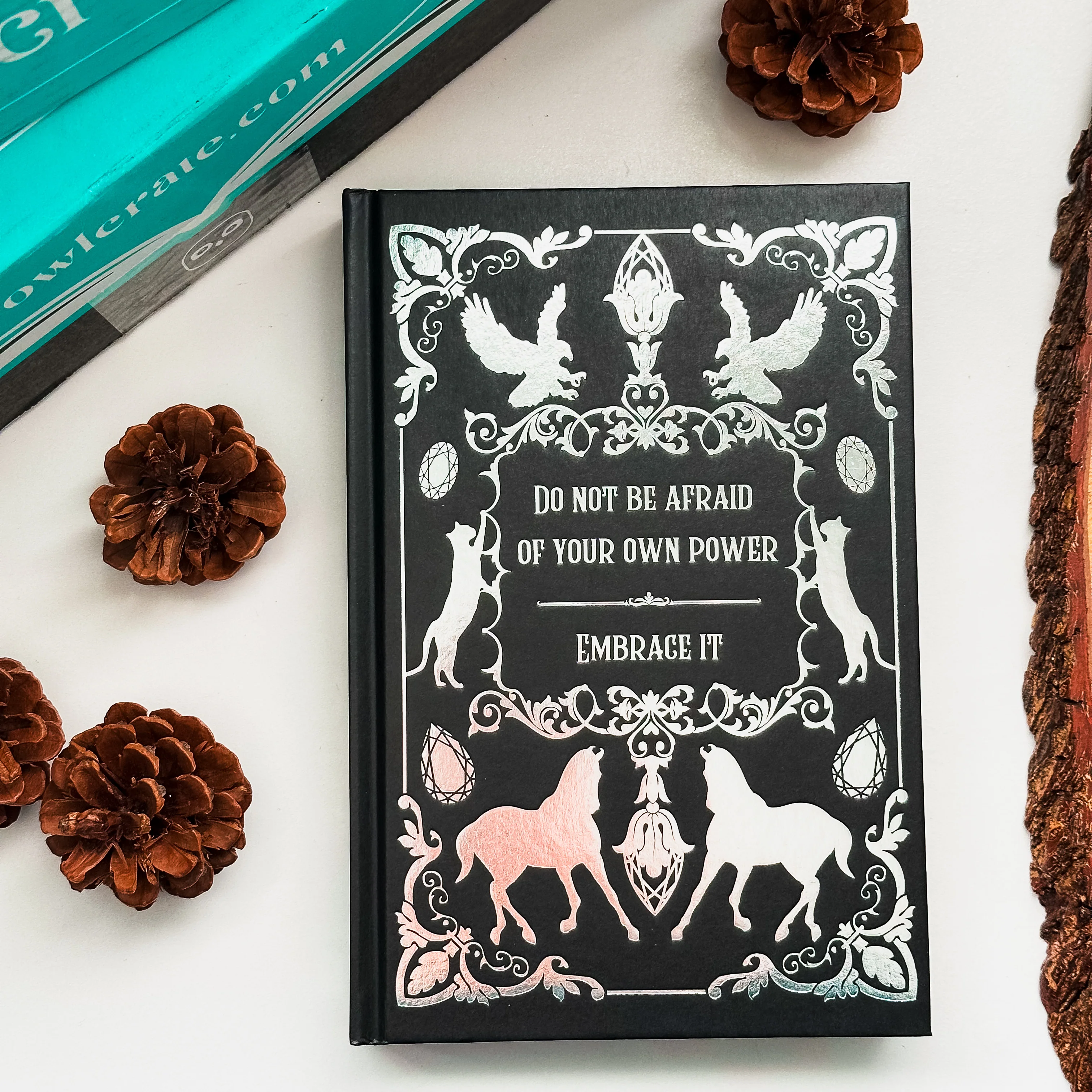 This Dark Descent (Exclusive OwlCrate Edition) - Image 5